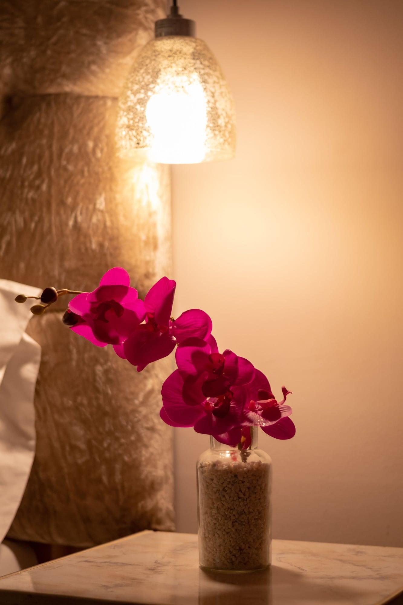 Aposentos De San Pedro Hotel Cartagena Ngoại thất bức ảnh