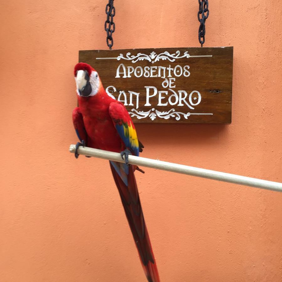 Aposentos De San Pedro Hotel Cartagena Ngoại thất bức ảnh
